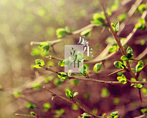 臨清市魯磁科技制造有限公司 臨清市魯磁科技制造有限公司