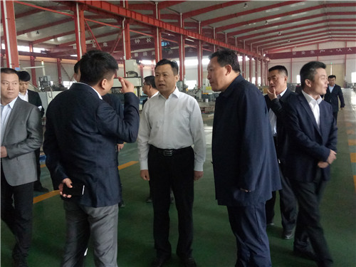 臨清市何書記參觀指導(dǎo)