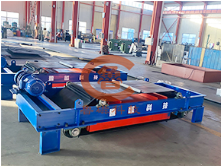 RCYD（C)懸掛自卸式永磁除鐵器